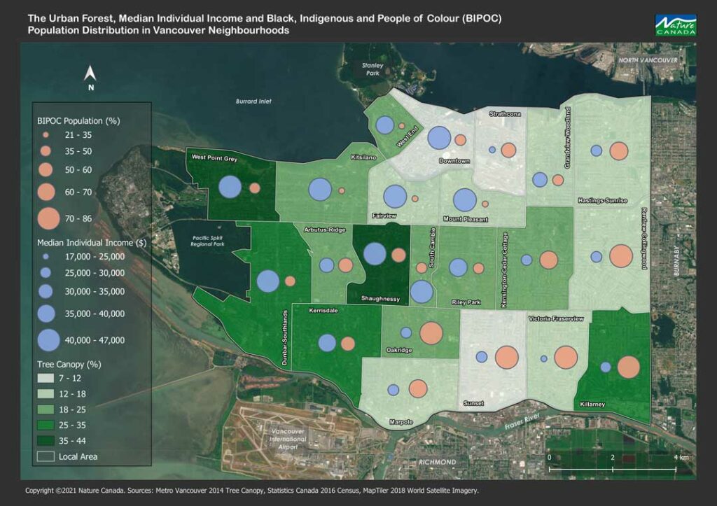 Tree Equity: Bringing the Canopy to All