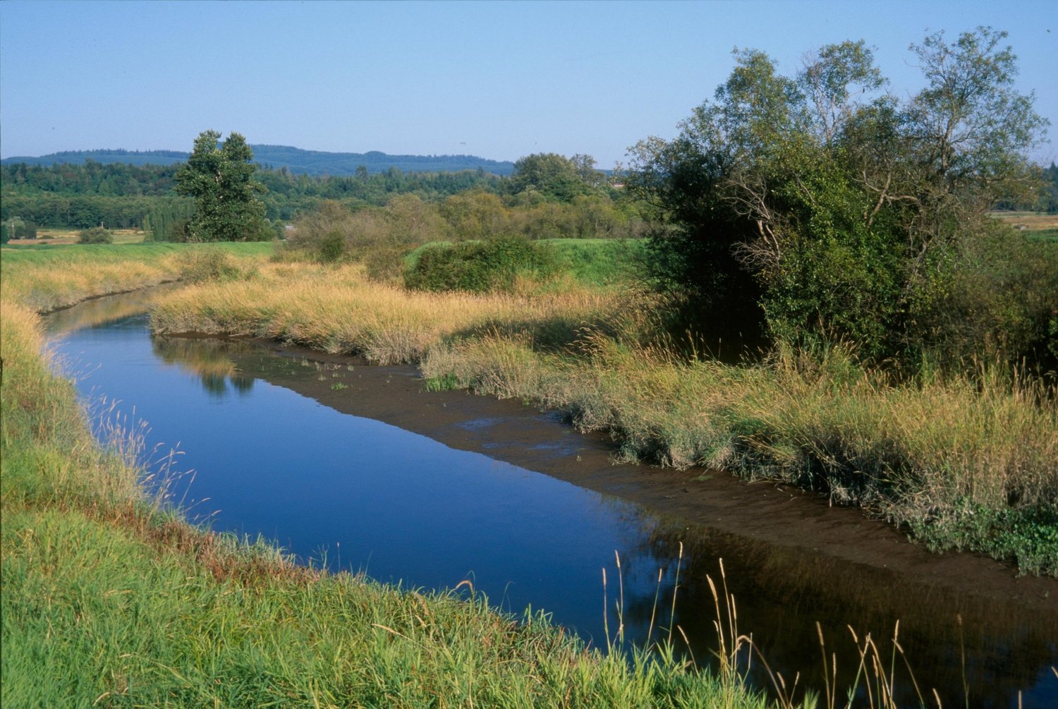 Floodplains Beyond Borders — The Nature Conservancy in Washington